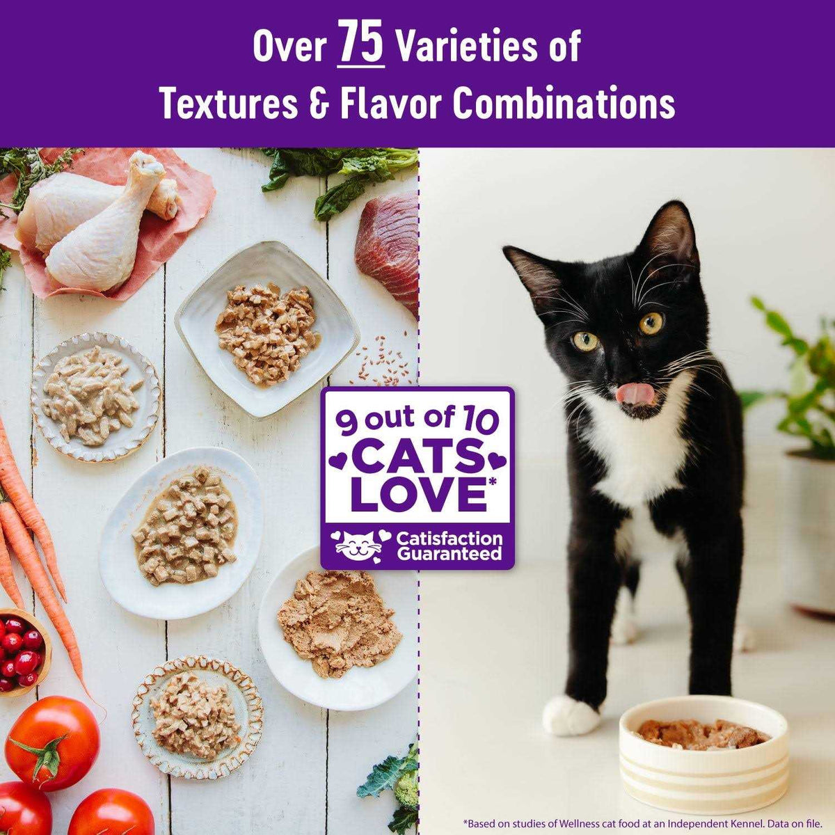 Grain Free Wet Cat Food V925