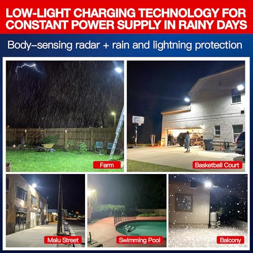 80000LM Dusk to Dawn Solar LED Flood Light with Motion Sensor and Remote Control S227