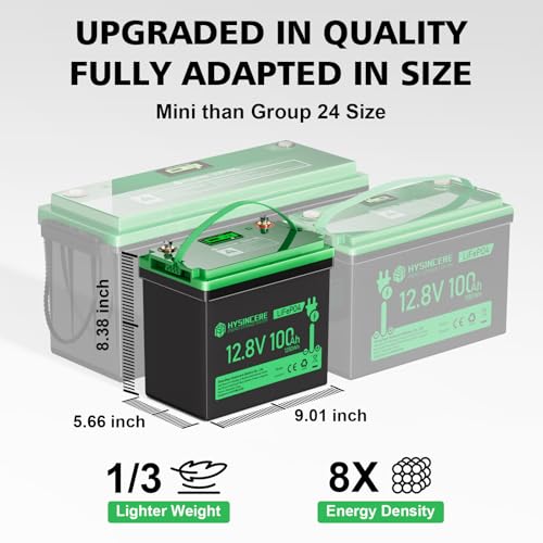 12V 100Ah LiFePO4 Lithium Battery, Mini Deep Cycle Rechargeable, 100A BMS T552