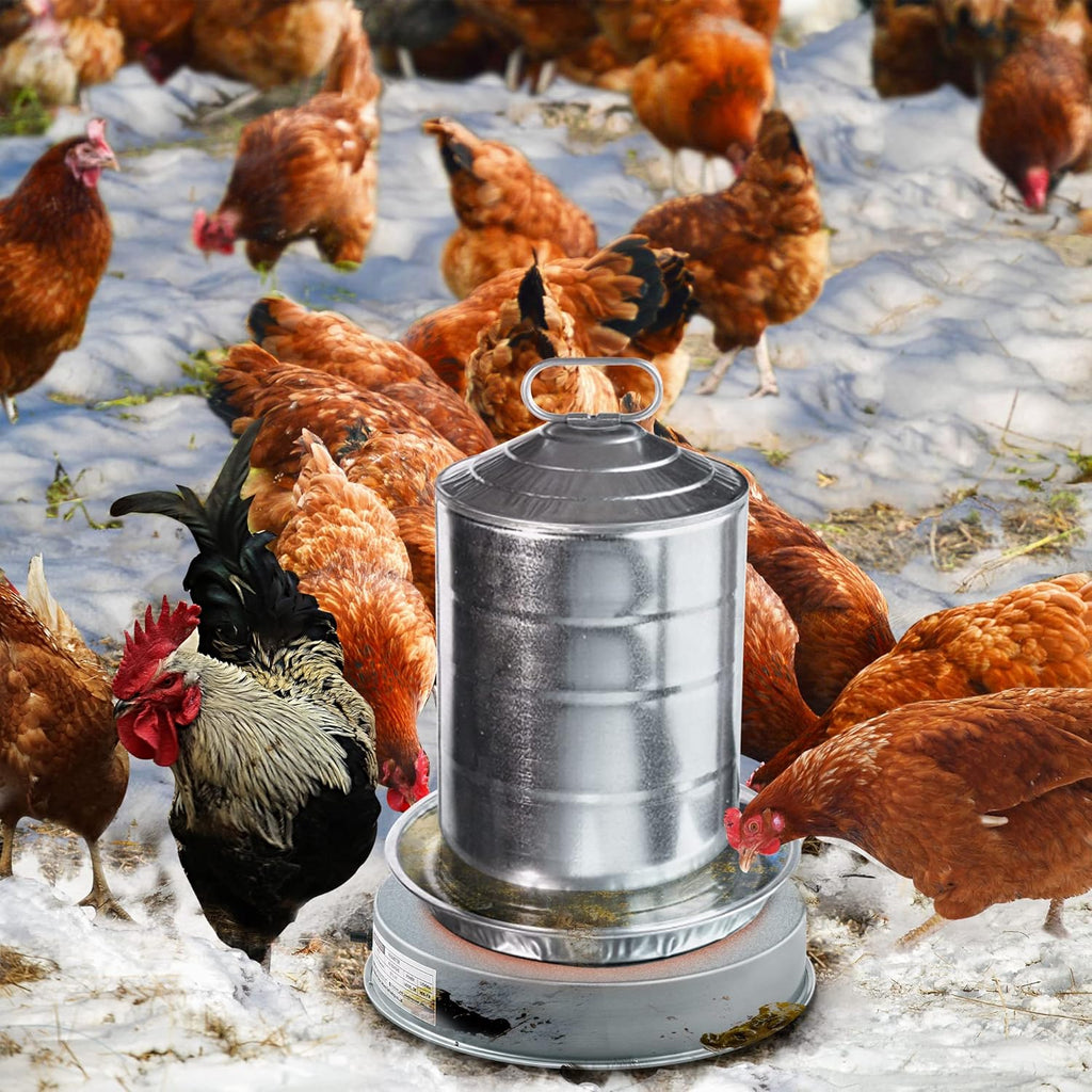 Heated Base Chicken Water Heater 125 Watts H47501
