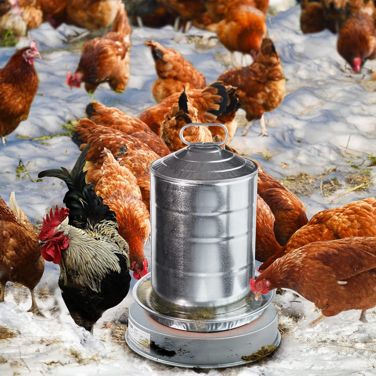 Heated Base Chicken Water Heater 125 Watts H47501