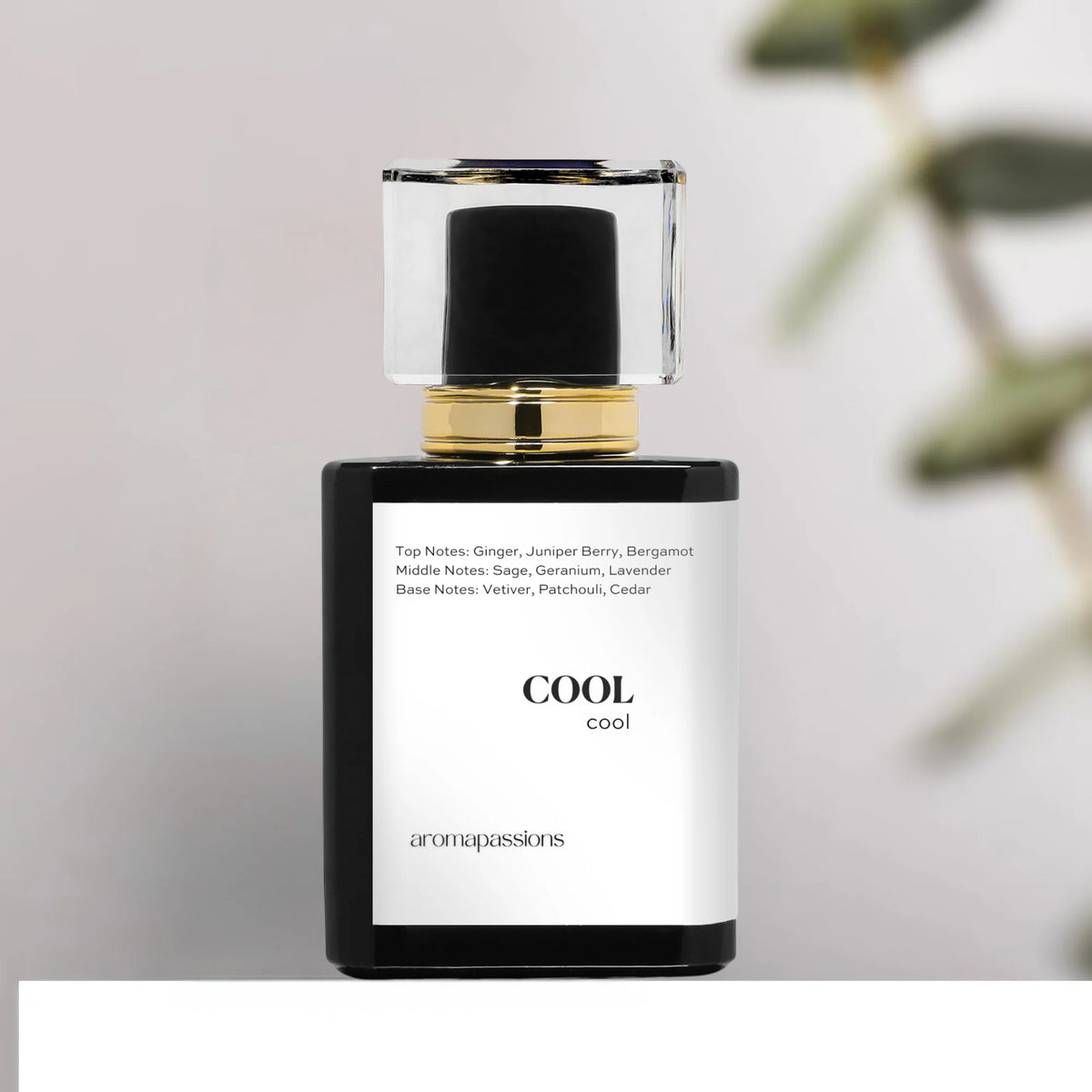 Pheromone Perfume for Men Extrait De Parfum B99020