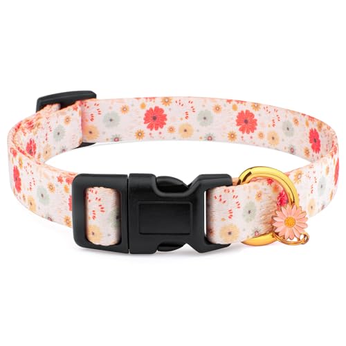 White Peach Dog Collar with Pendant (Small) V233380