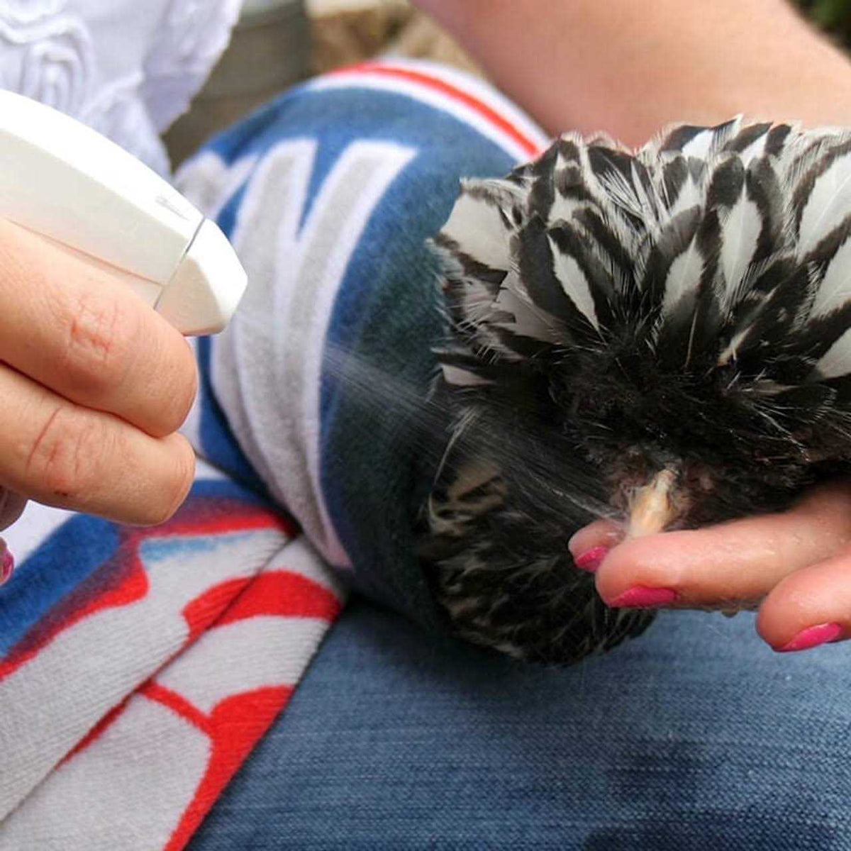 Poultry Care A9817