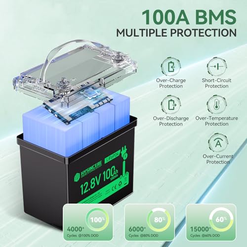 12V 100Ah LiFePO4 Lithium Battery, Mini Deep Cycle Rechargeable, 100A BMS T552