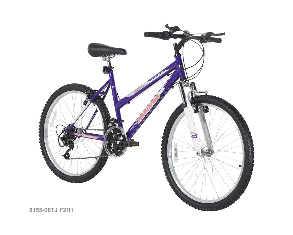 24-Inch Girls Hybrid Bike E9812