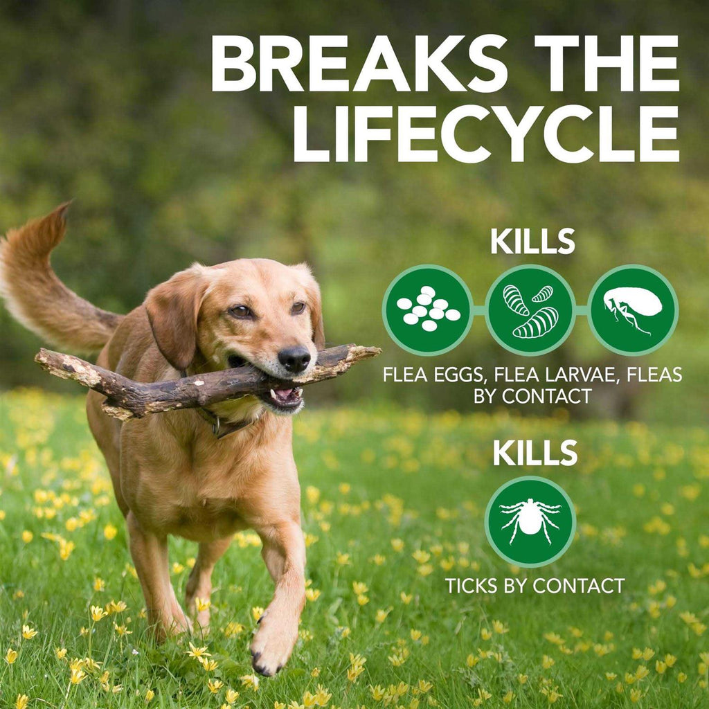 Flea & Tick Shampoo U30336