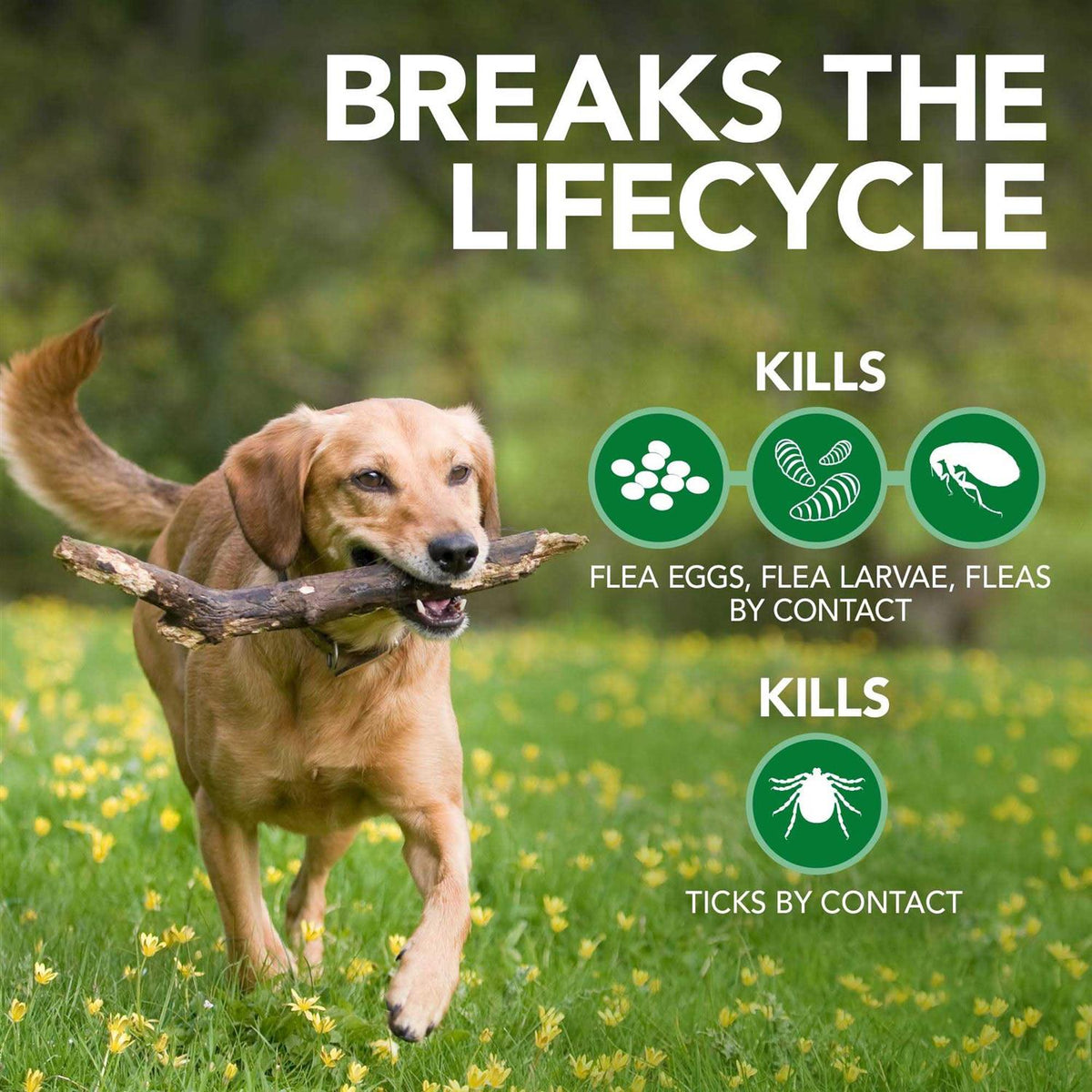 Flea & Tick Shampoo U30336