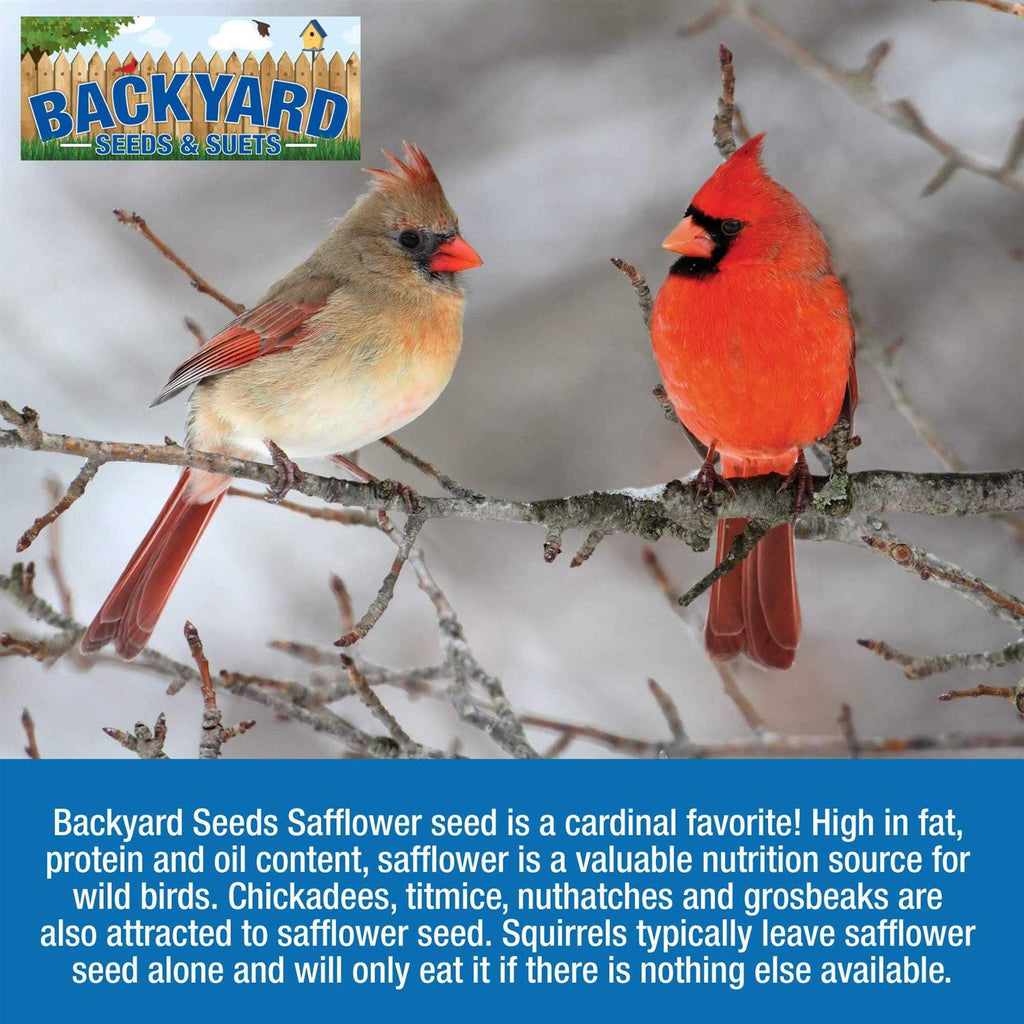 Safflower Bird Seed C30667