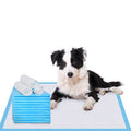 Super Absorbent & Leak-Proof Dog Pee Training Pads D761