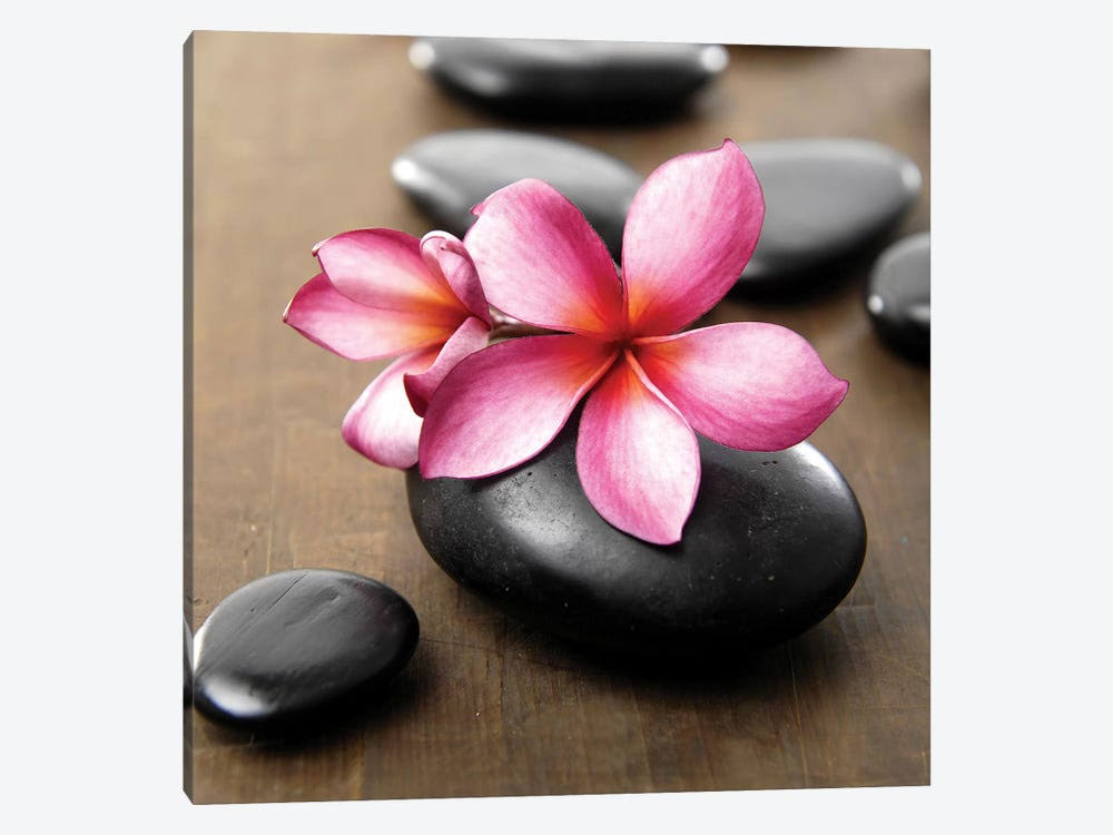 Zen Pebbles Canvas Art Picture N40684