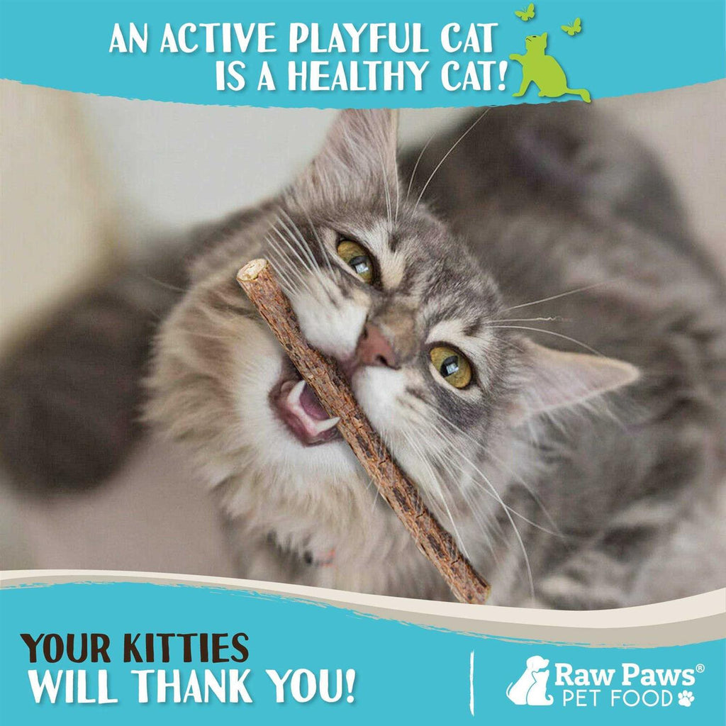 Silvervine Cat Toys A697443