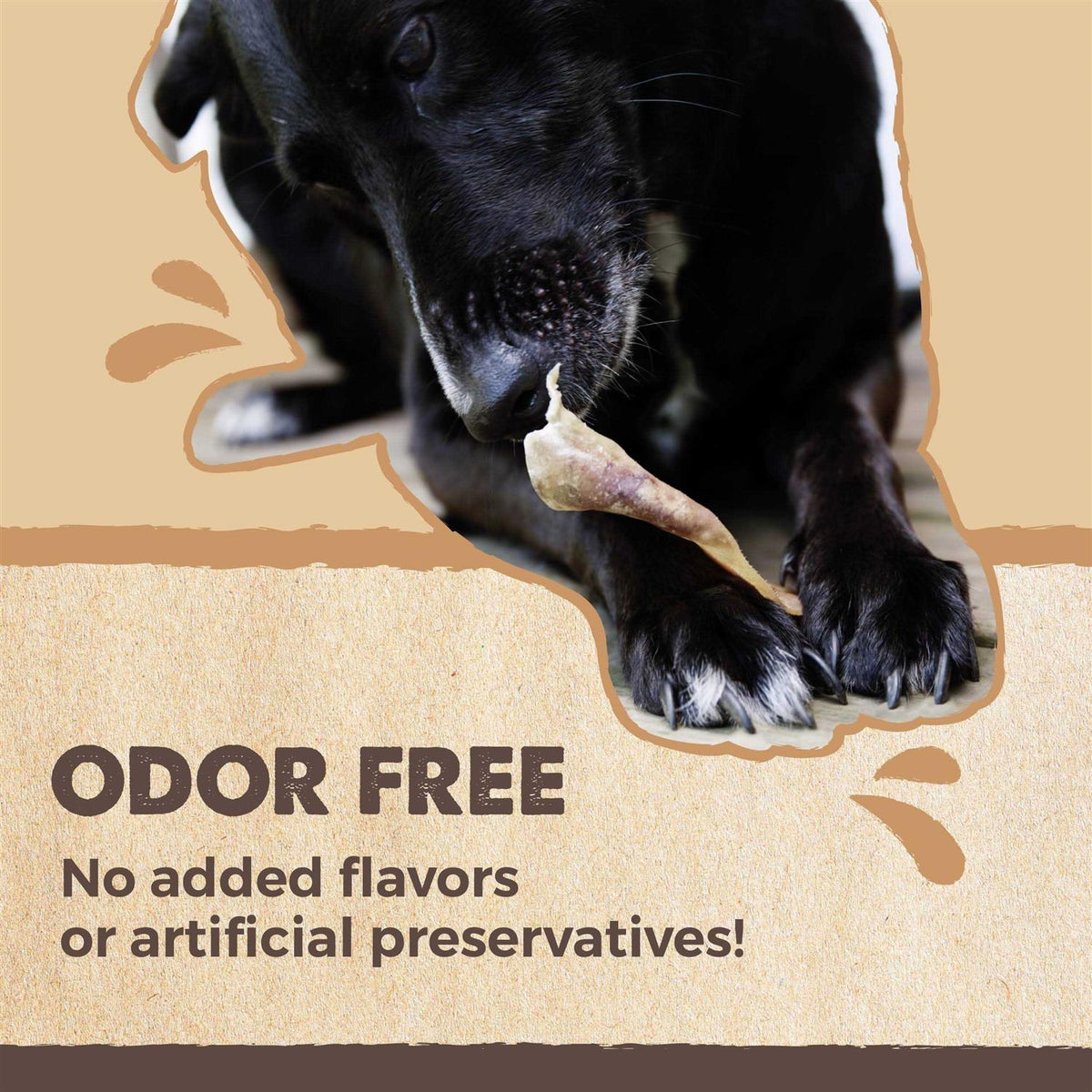 All Natural Dried Single Ingredient Dog Treats W9542