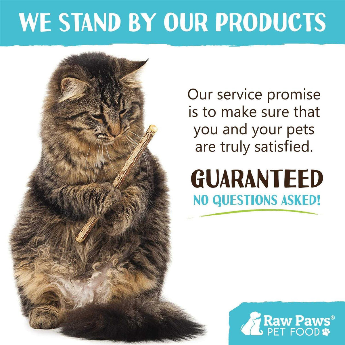 Silvervine Cat Toys A697443