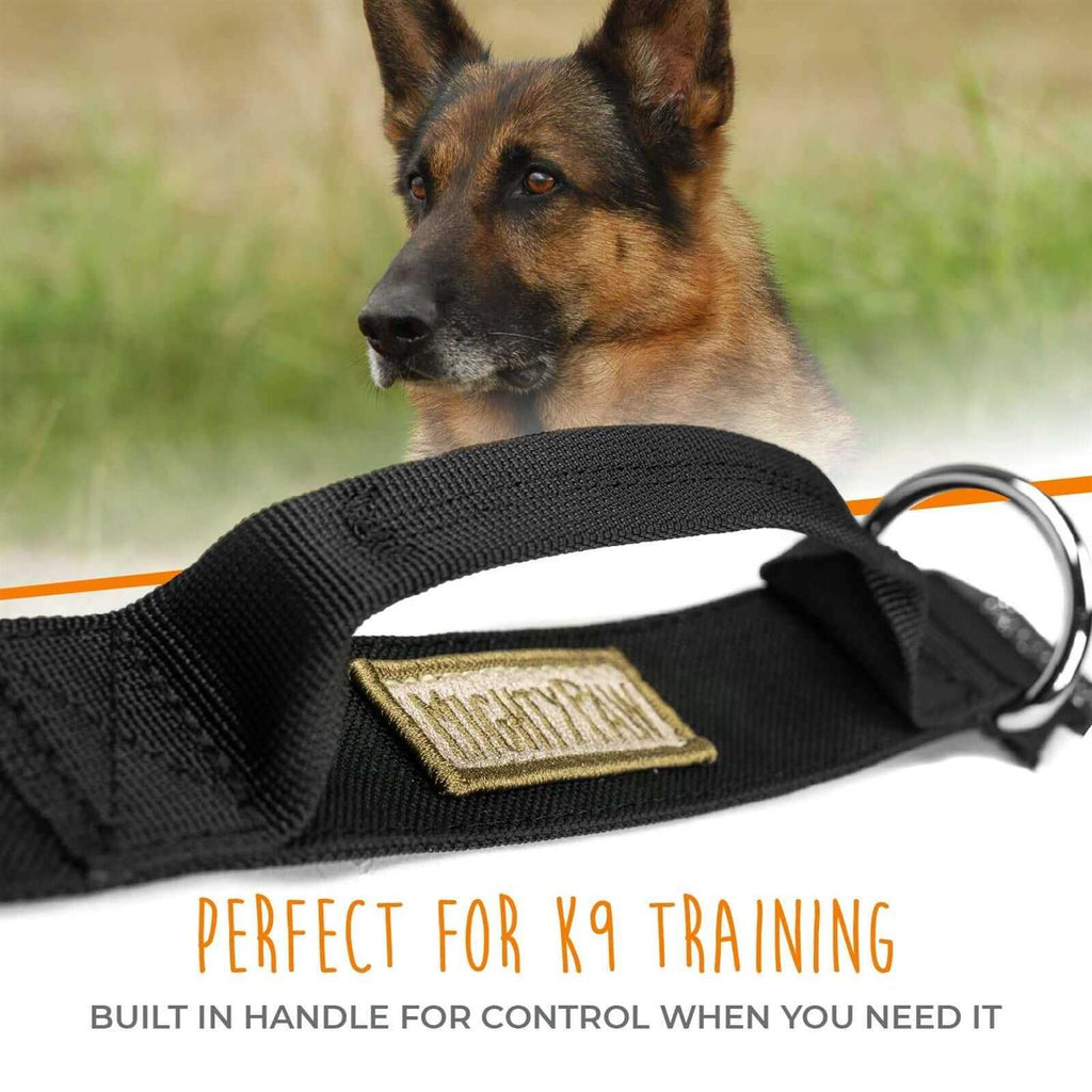 Heavy Duty Dog Collar with Metal Buckle H673