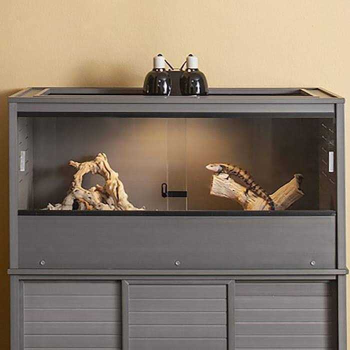 Reptile Lounge Q5306