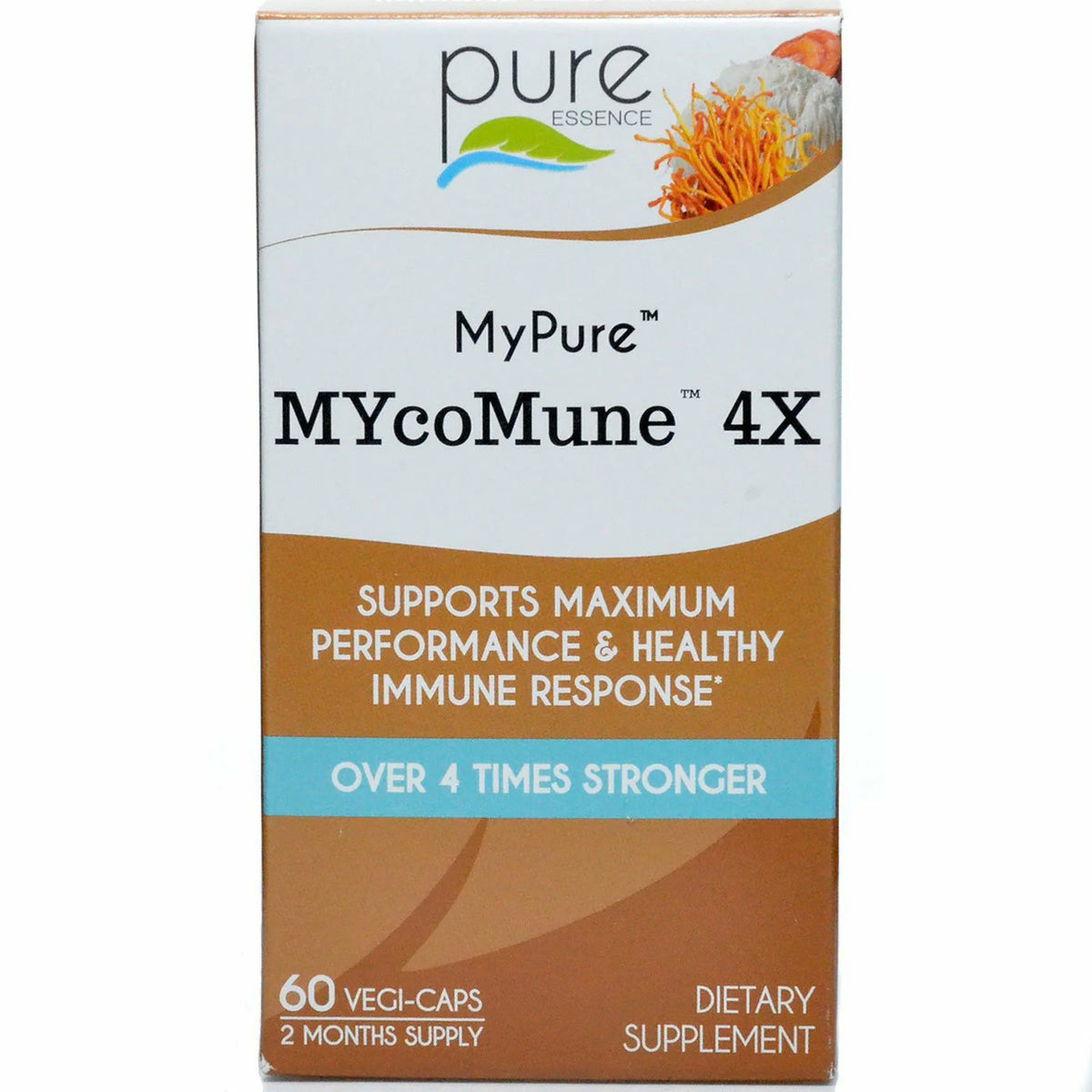 Cordyceps X33245