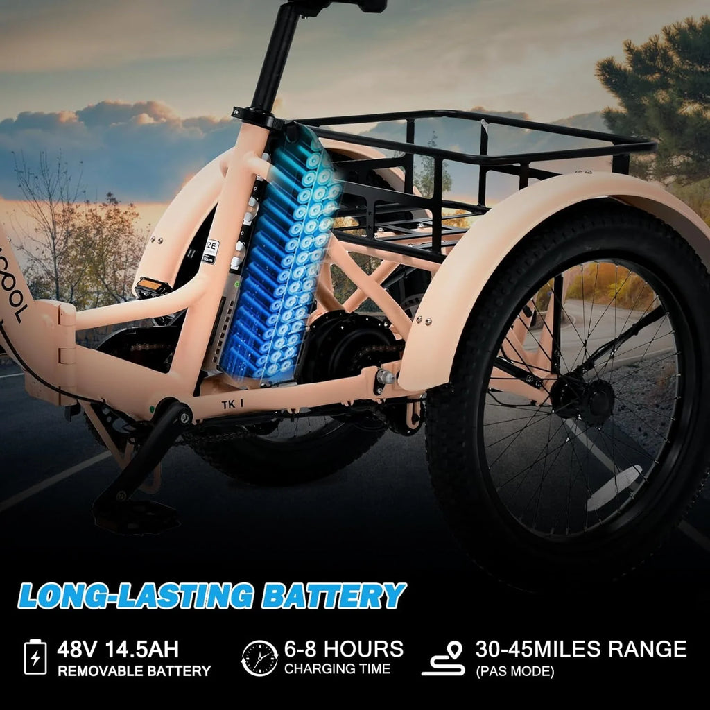 Folding Electric Tricycle 750W Motor 48V 20 Fat Tire 3 Wheel Electric Bicycle H496583