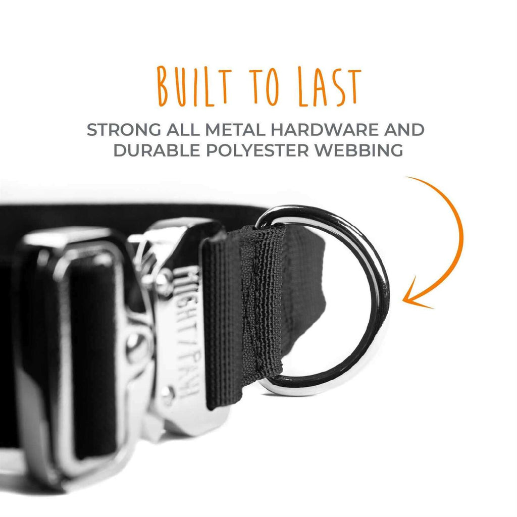 Heavy Duty Dog Collar with Metal Buckle H673