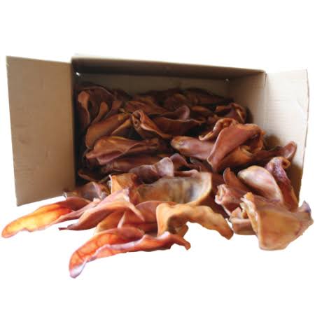 Pig Ears, 100 ct D572741