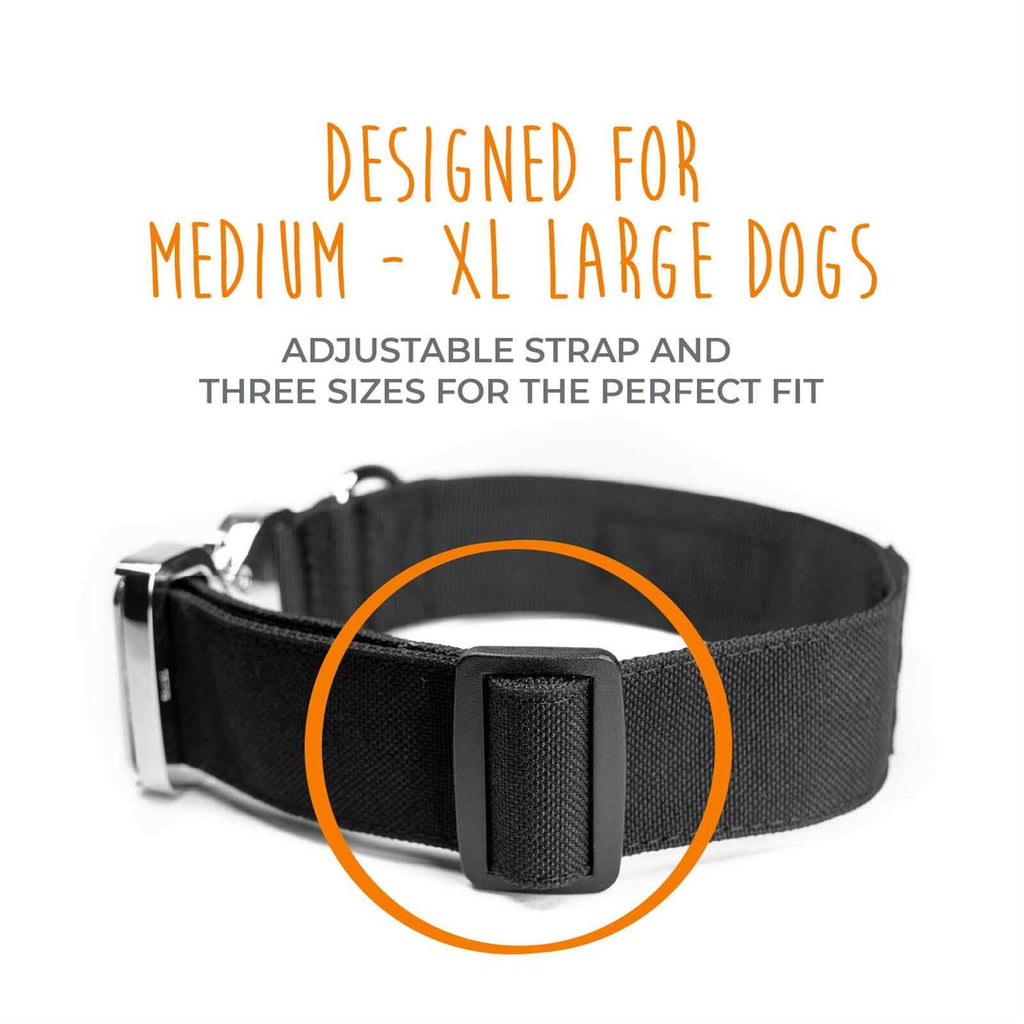 Heavy Duty Dog Collar with Metal Buckle H673