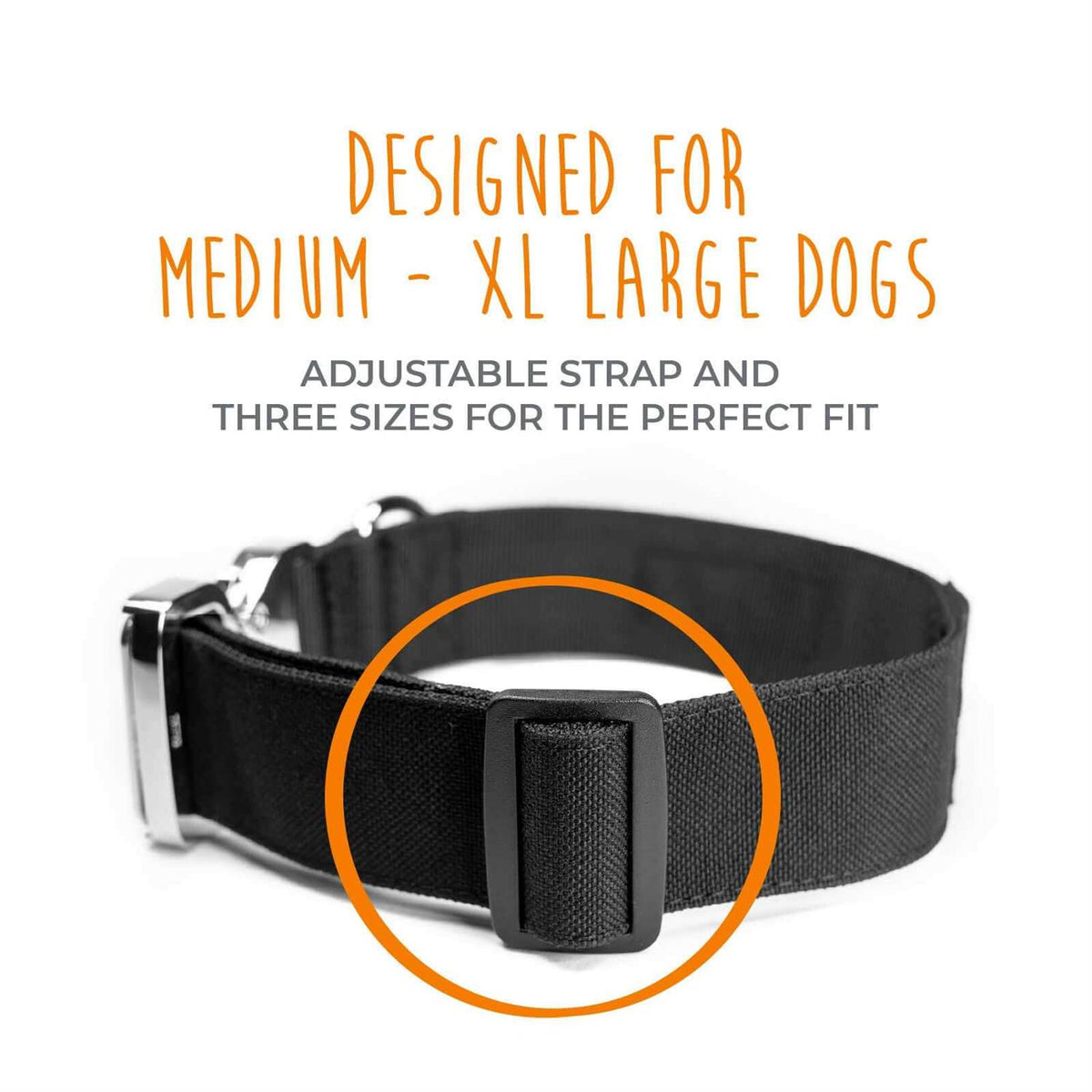 Heavy Duty Dog Collar with Metal Buckle H673