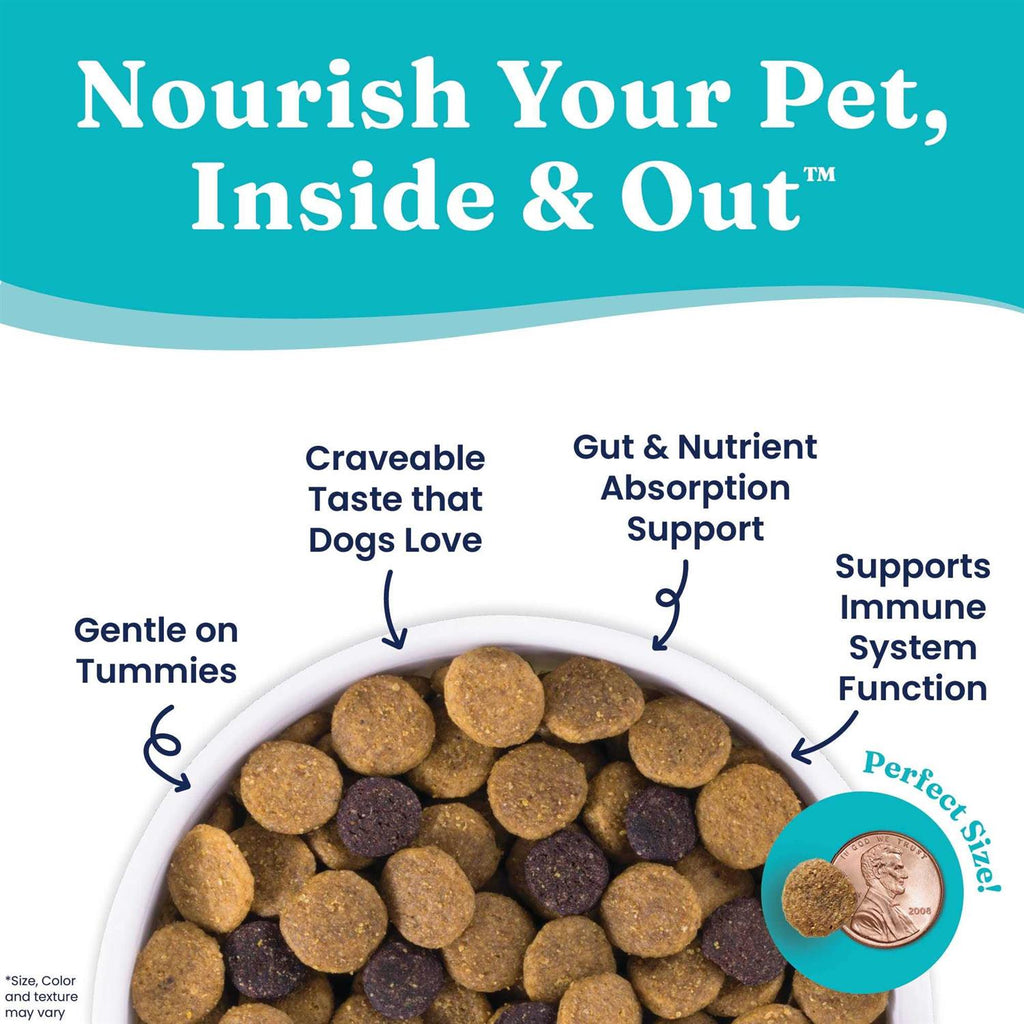 Dry Dog Food Q4772