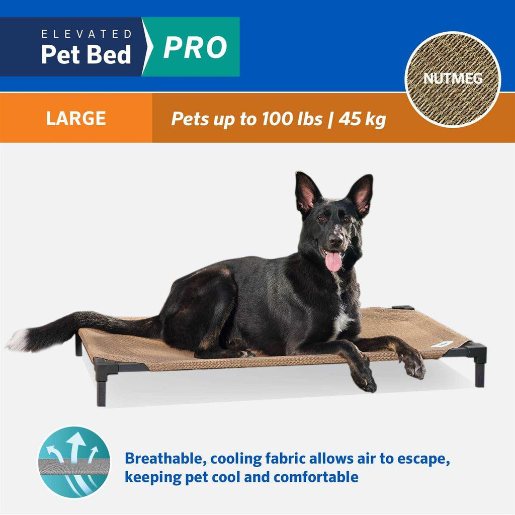 Elevated Pet Bed K923688