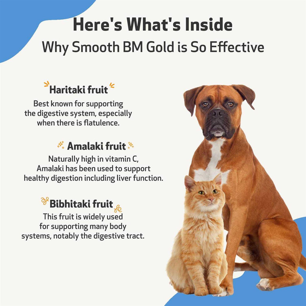 Smooth BM Gold Pet Supplies C7557