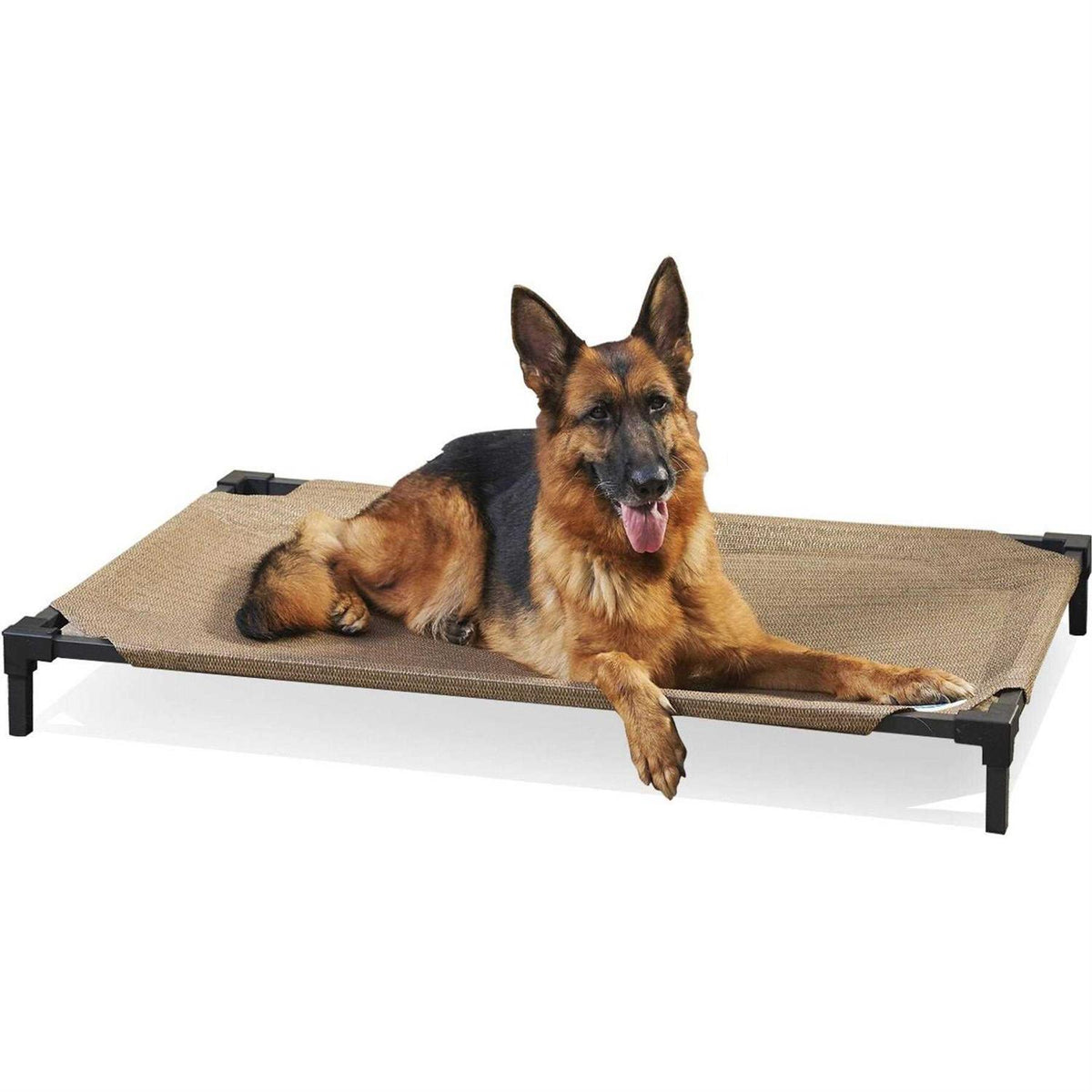 Elevated Pet Bed K923688