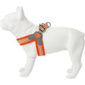Dog Harness F98875