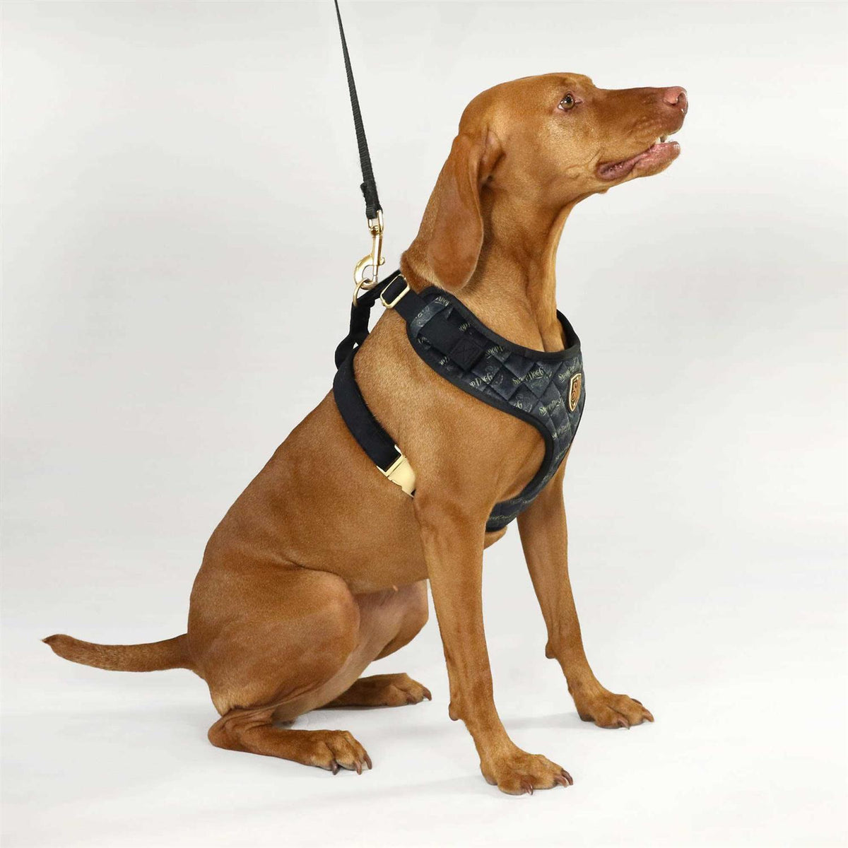 Quilted Pet Harness G10772
