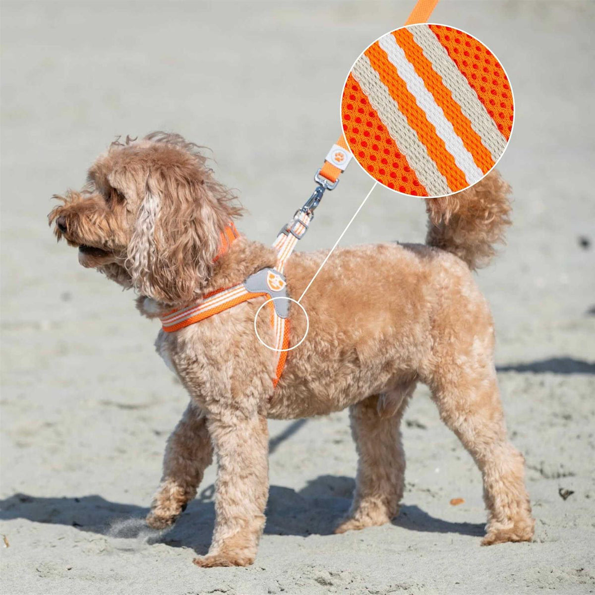 Dog Harness F98875