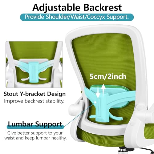 Ergonomic Mesh Office Chair with Lumbar Support Black E71933